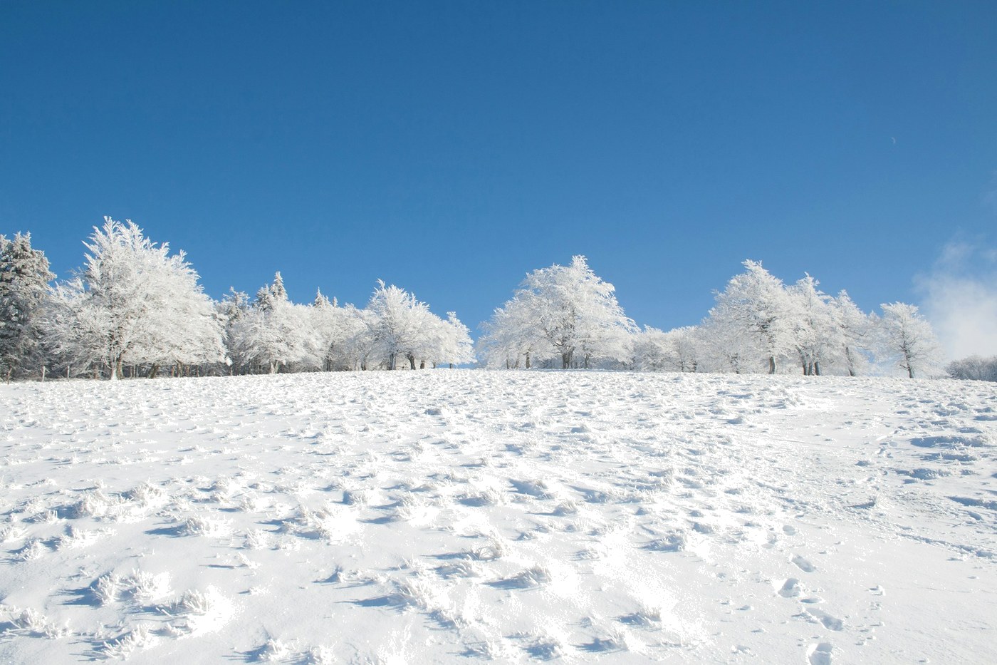 The same photo with Superwhite mode applied, showing brighter near-white highlights in the snow and frost